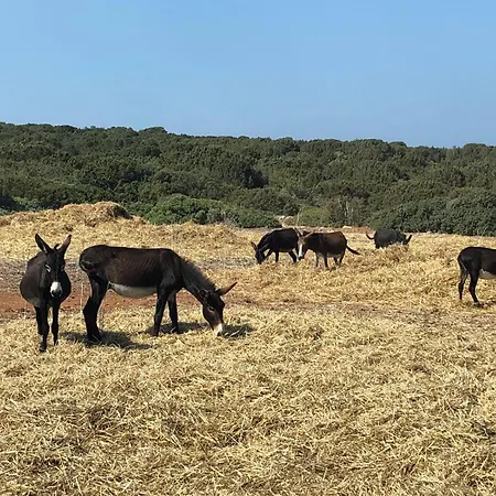 Apartmán Kantara