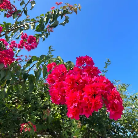 Kantara Apartmán Flamoudi