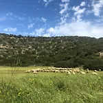 Kantara 公寓