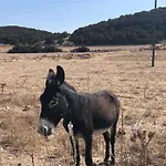Kantara * Flamoudi