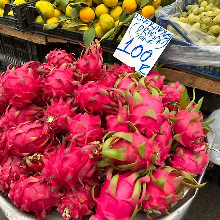 Kantara Flamoudi
