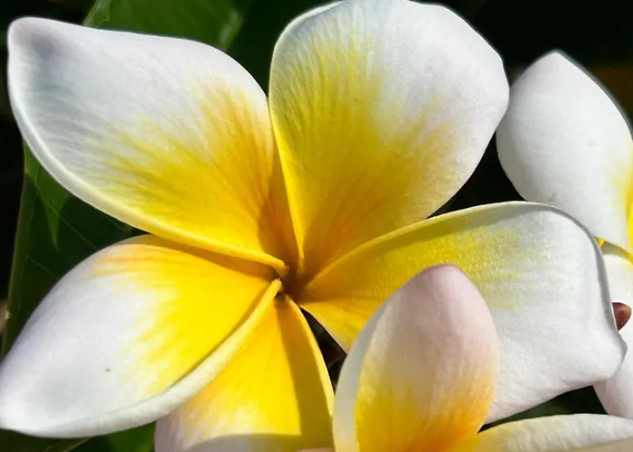 Apartmán Kantara Flamoudi